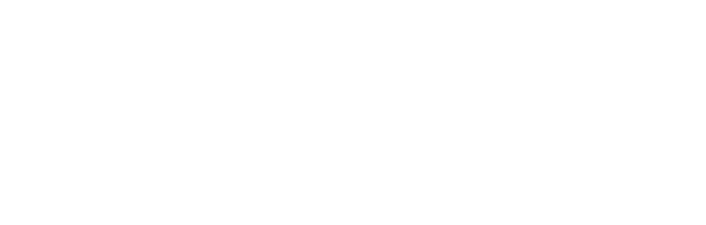 Dirtype